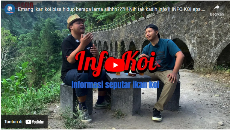featur info koi